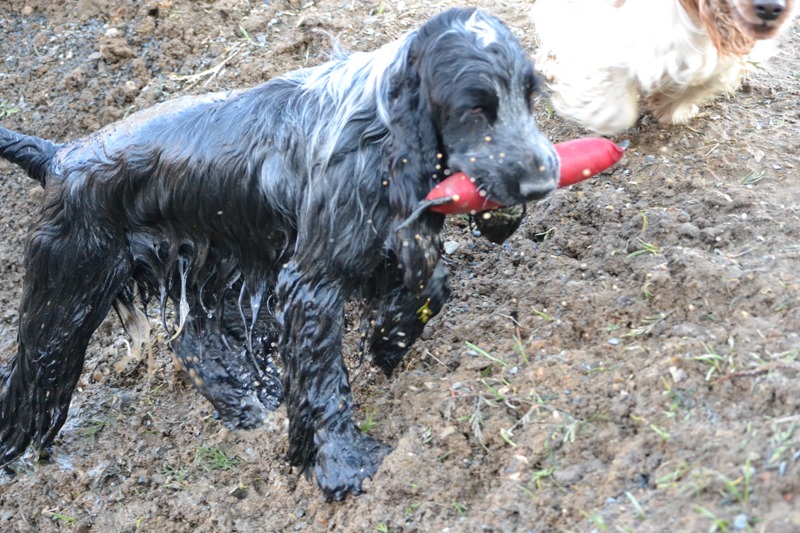 22-Erik je moc šikovný klouček!.JPG